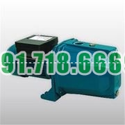 Bán Máy Bơm Nước Bán Chân Không APP PW-381E