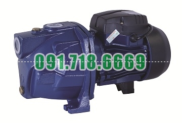 Bán Máy bơm nước bán chân không Kangaroo KG 750