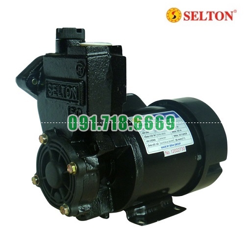 Bán Máy bơm nước chân không Selton SEL 240BE