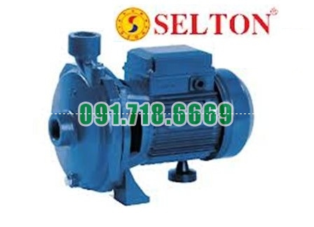 Bán Máy bơm nước Selton K 100