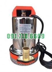 Bán Bơm thả chìm mini ZQB-24