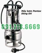 Bán Máy Bơm Nước Thả Chìm Pentax DX 80 G 2″