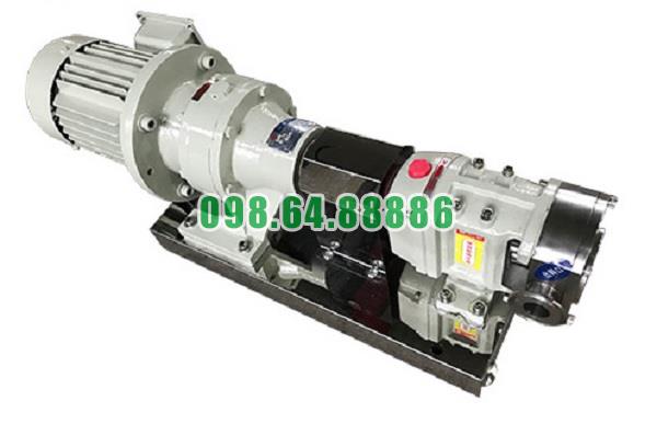 Máy bơm cánh khế 3RP-60 công suất 7.5 kW lưu lượng 18 m3/h kết nối DN65
