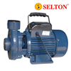 Bán Máy bơm nước Selton ST-25